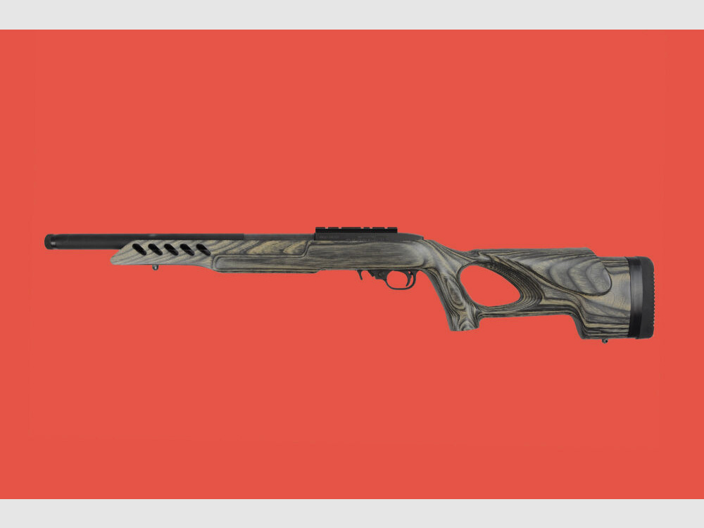 Ruger 10/22 Target