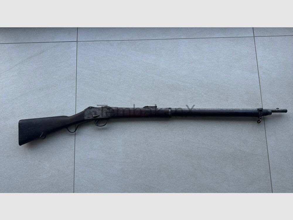Enfield Bj. 1875 (vermutlich) .445SuperMag