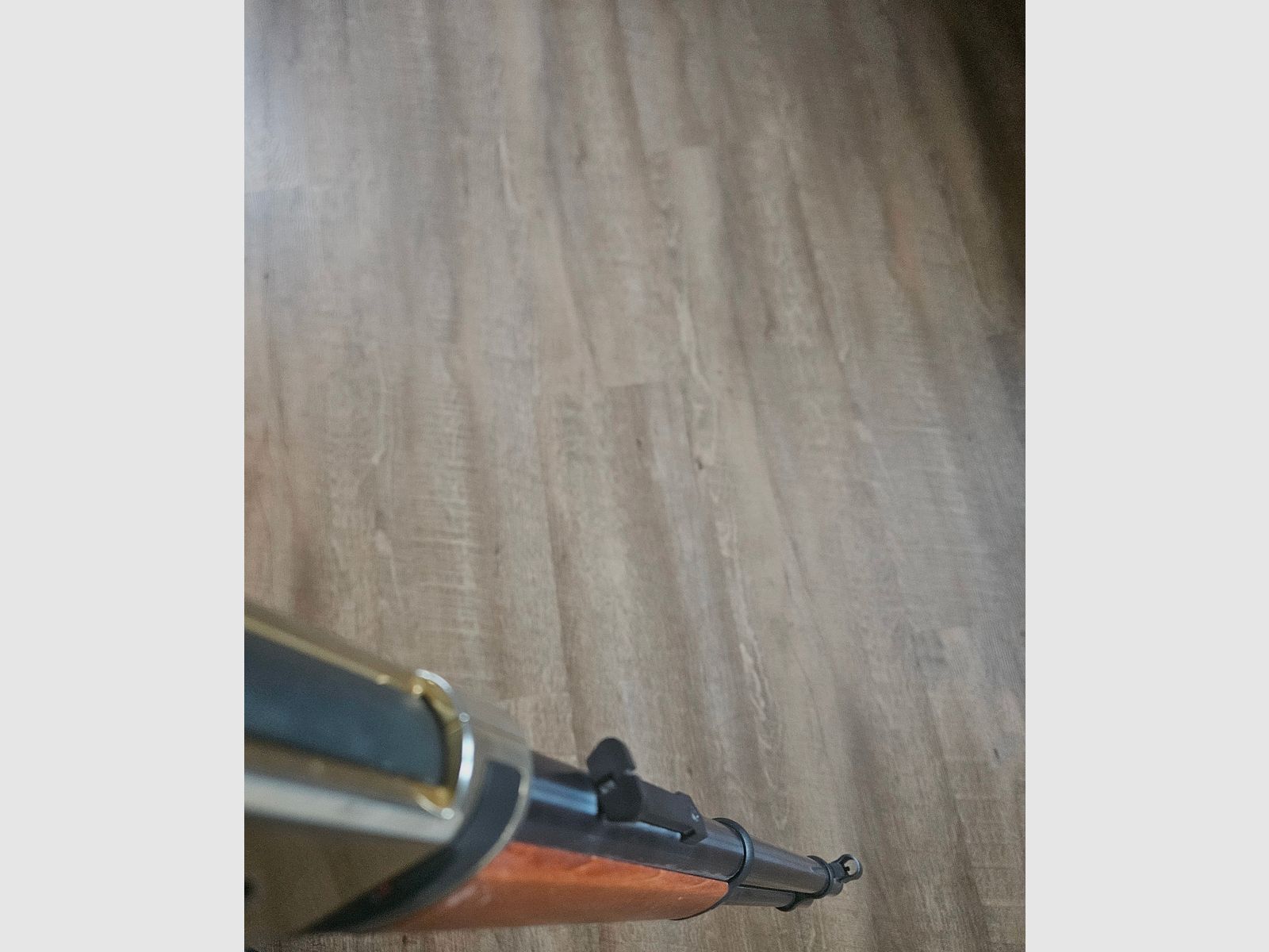 Walther CO2 Carabine à levier Wells Fargo