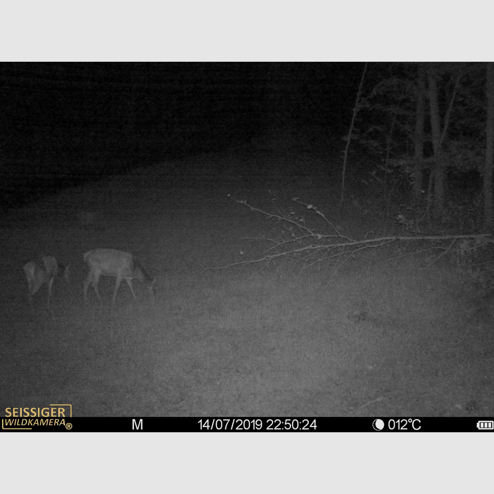 SEISSIGER Special-Cam CLASSIC