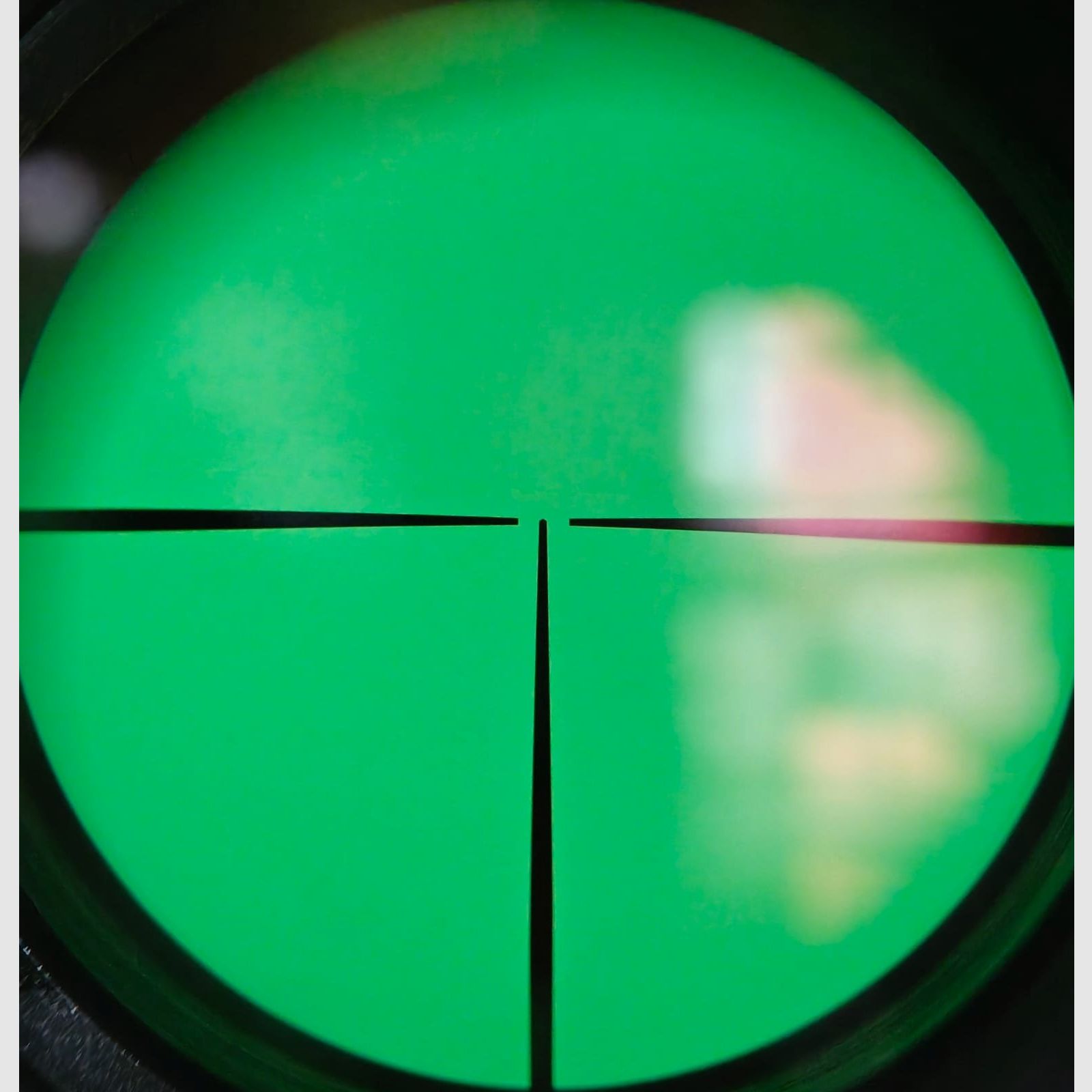 Frankonia Favorit | 8x57JS – Sistema 98 y S&B 2,5-10×56