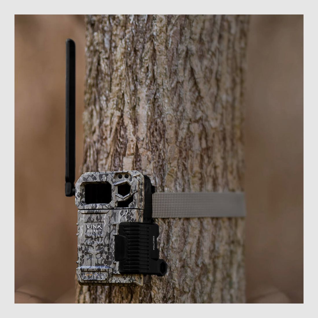SPYPOINT Wildkamera Link-Micro-LTE