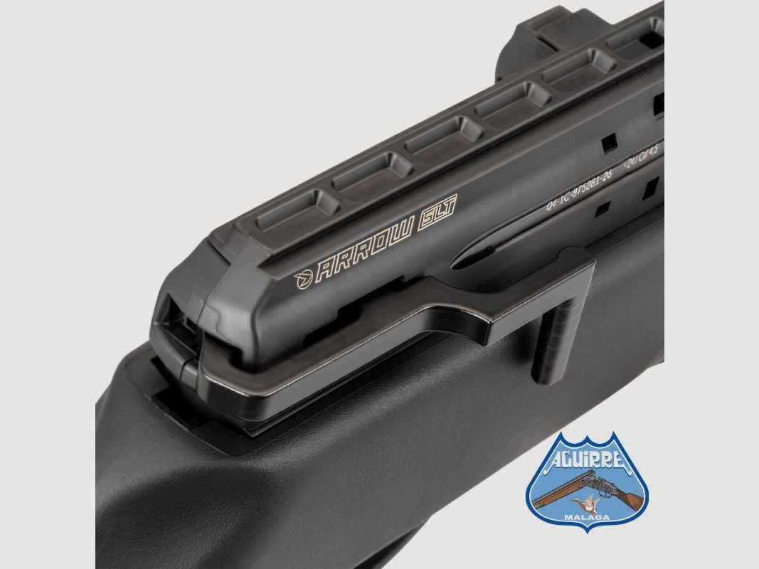 Carabina de aire comprimido Gamo Arrow SLT, imagen 5 de 8