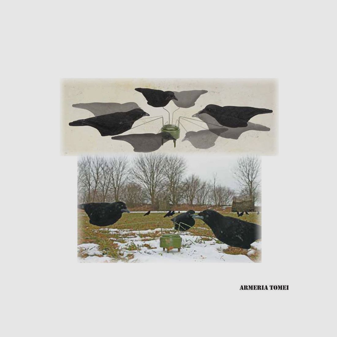 GIOSTRA – TRIPLE PLAY CROW