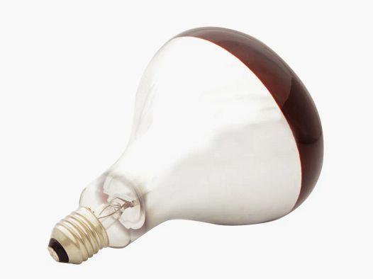 Infrarotlampe für Aufzucht 60 W