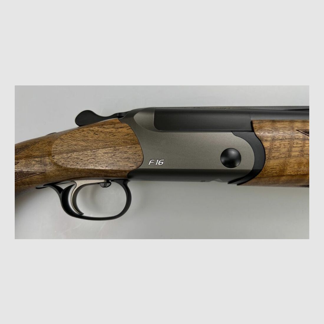 Blaser F16 Game