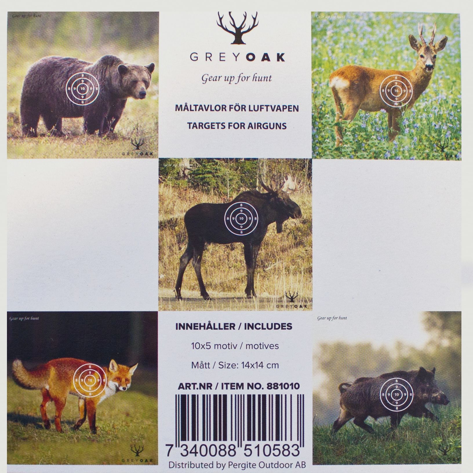 Pergite Tiermuster Pinnwand 14x14 cm 50er Pack
