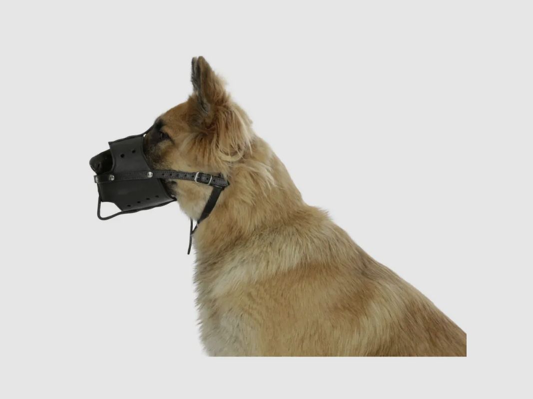 Verstellbare 3-Punkt-Ledermaske für Hunde, Bild 2 von 5