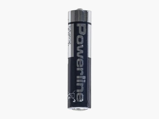 Panasonic Panasonic Batterie MN-ALK.Mignon AAA 1.5V R6S
