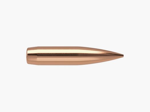 NOSLER 22 CALIBER (0.224″) 85GR HOLLOW POINT BOAT TAIL 100/BOX