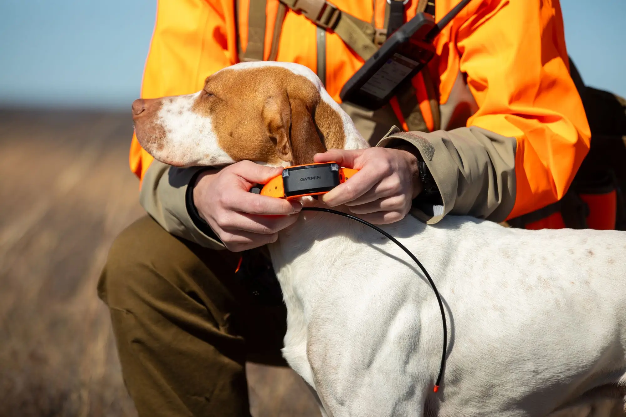 Garmin Hundetracker Alpha LTE, Bild 4 von 5
