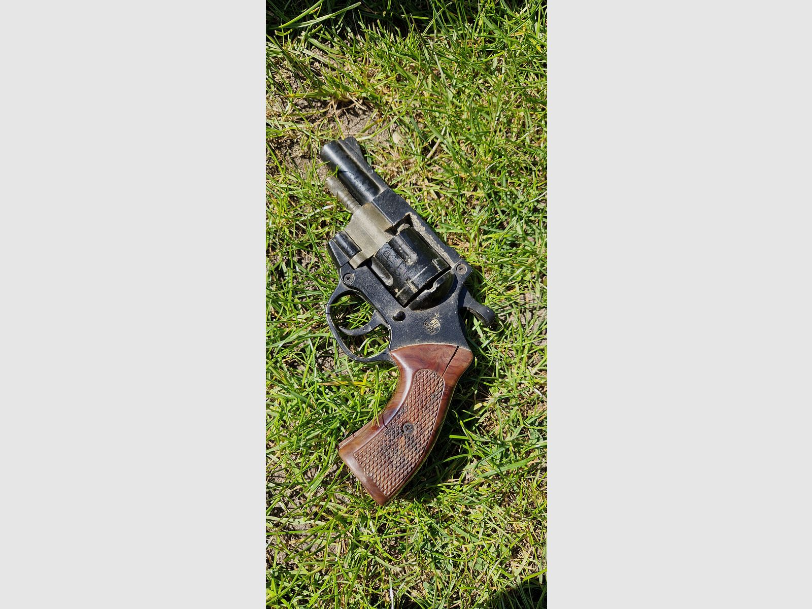 Umarex Model Champion