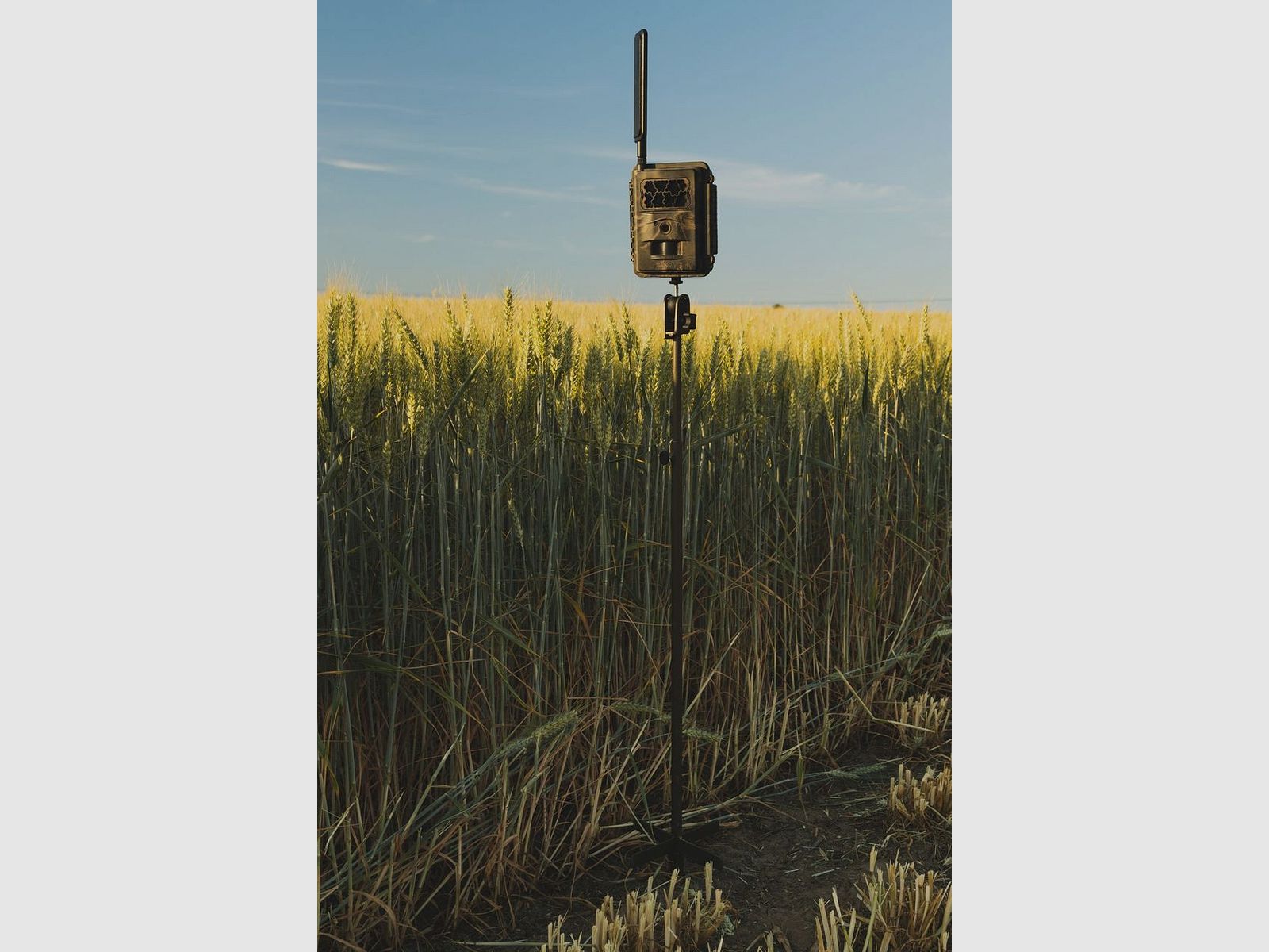 Seissiger Erdspiess Stativ für Wildkameras, Bild 1 von 3
