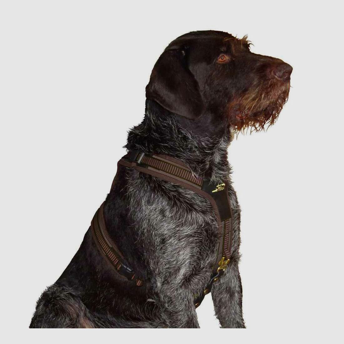 Niggeloh dog harness Niggeloh Follow 3