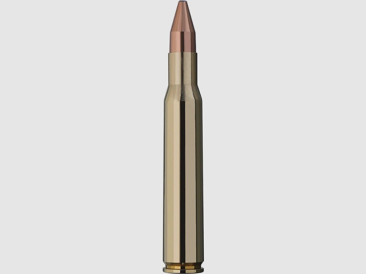 RWS Kugelpatronen .30-06 KS 20 Stk 9,7g/150grs