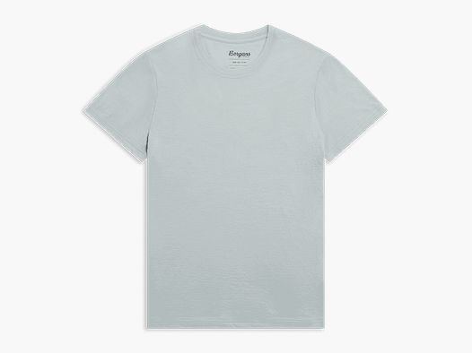 Bergans Merino Light Tee Kobiety Dried Sage XL