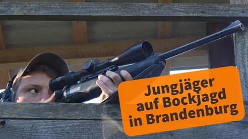 Bockjagd in Brandenburg: Jungjäger erlegen das erste Stück Rehwild!