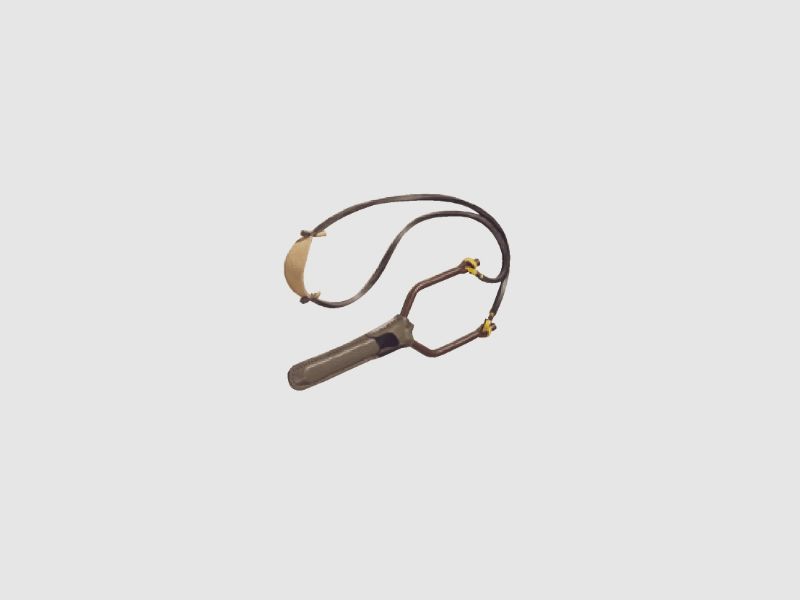 Slingshot