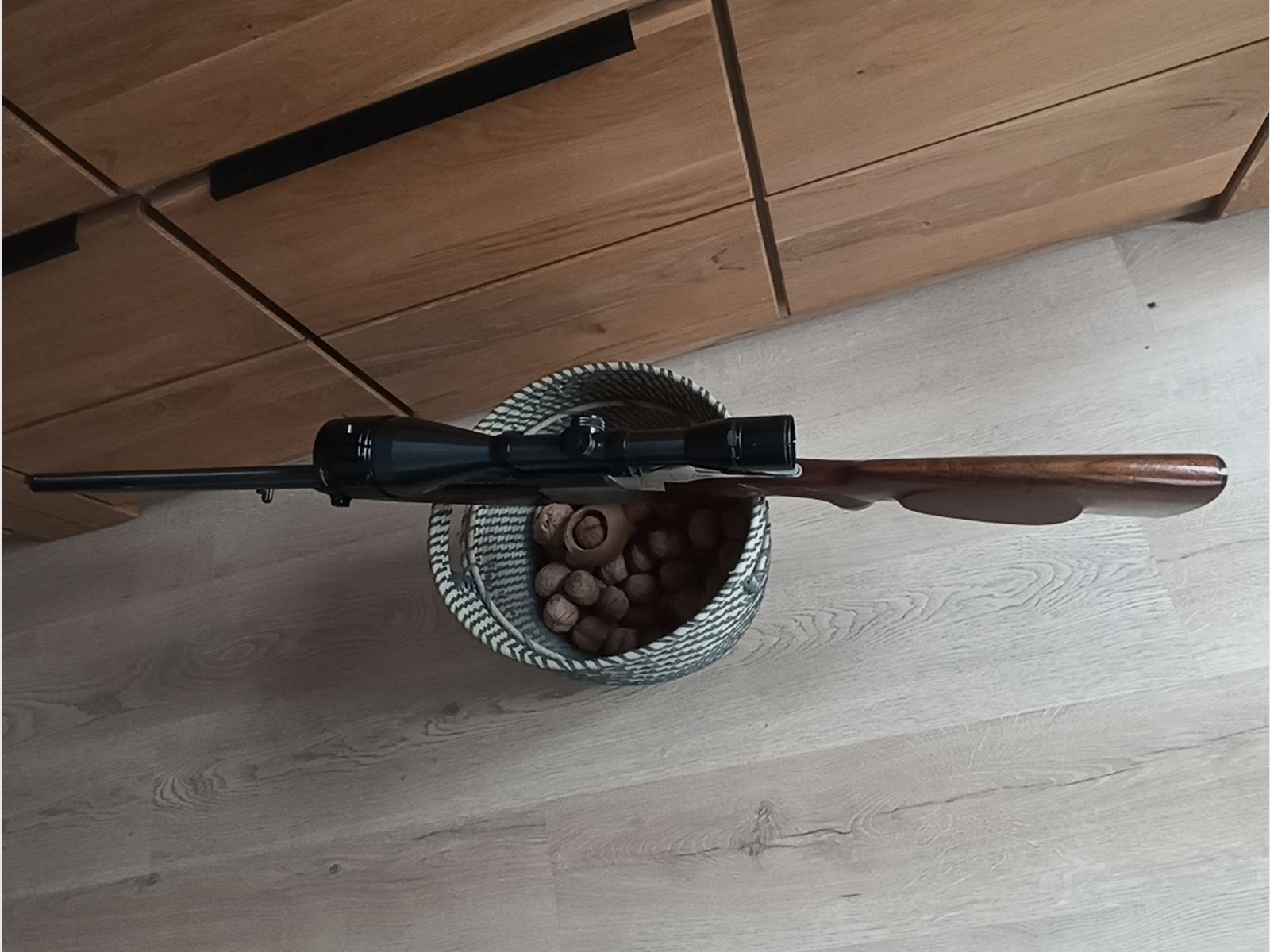Blaser es 67