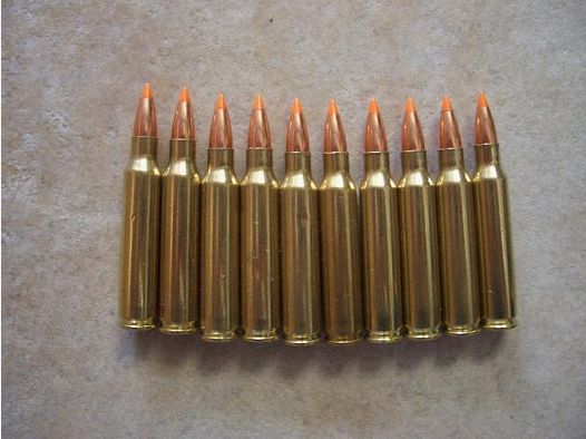 Dekomunition .223, 10 Stück,Nosler