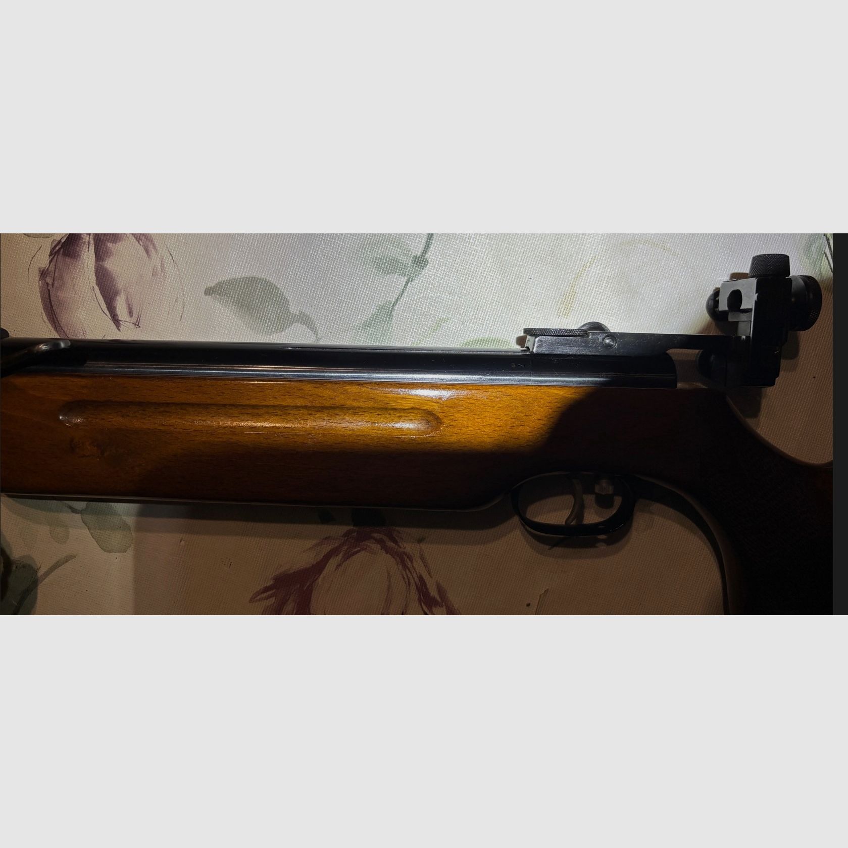 Weihrauch HW 55 mit Diopter