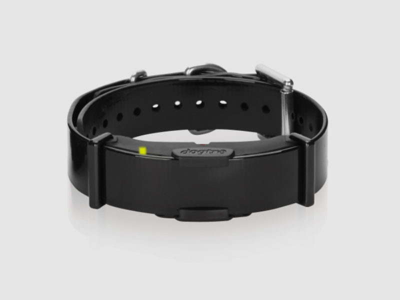 Dogtra CH800, immagine 2 di 5
