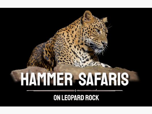 Jagen in Südafrika - Westkap Hammer Safaris