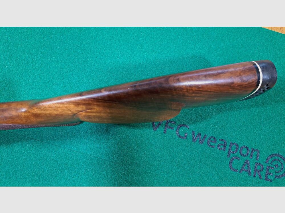 Sauer	 202