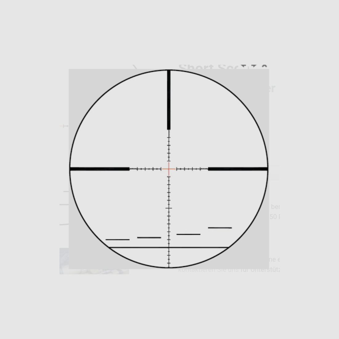 Schmidt & Bender PM II  Ultra short 3-20x50 LP Police 1cm DT35 MTC LT