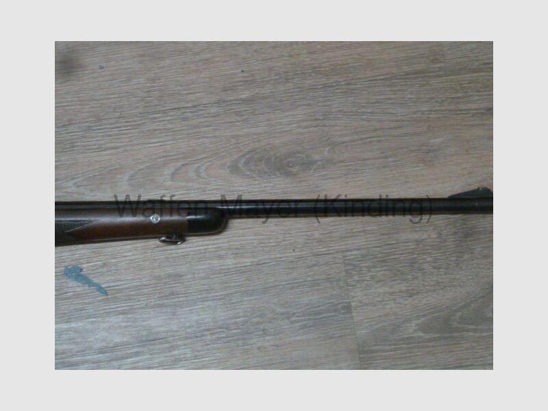 Steyr-Mannlicher GK