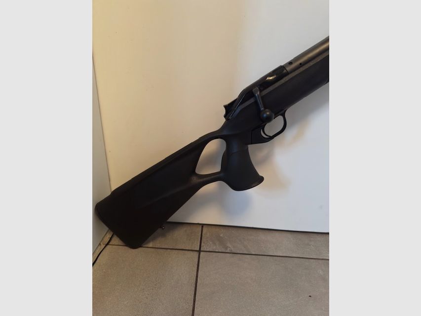 Blaser R8 Professional Success