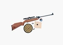 Perfecta Luftgewehr Modell 45 Set