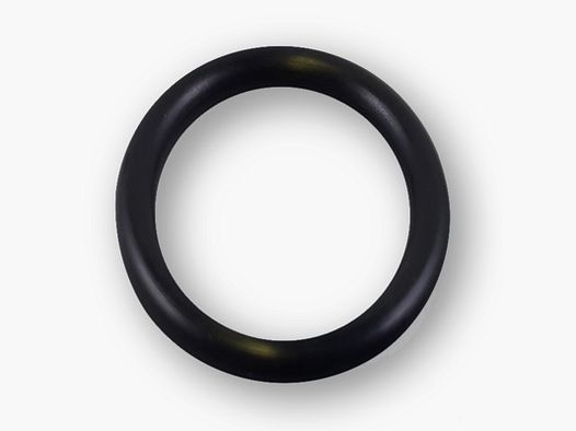 2x O-Ringe Artemis/Snowpeak Füllstift