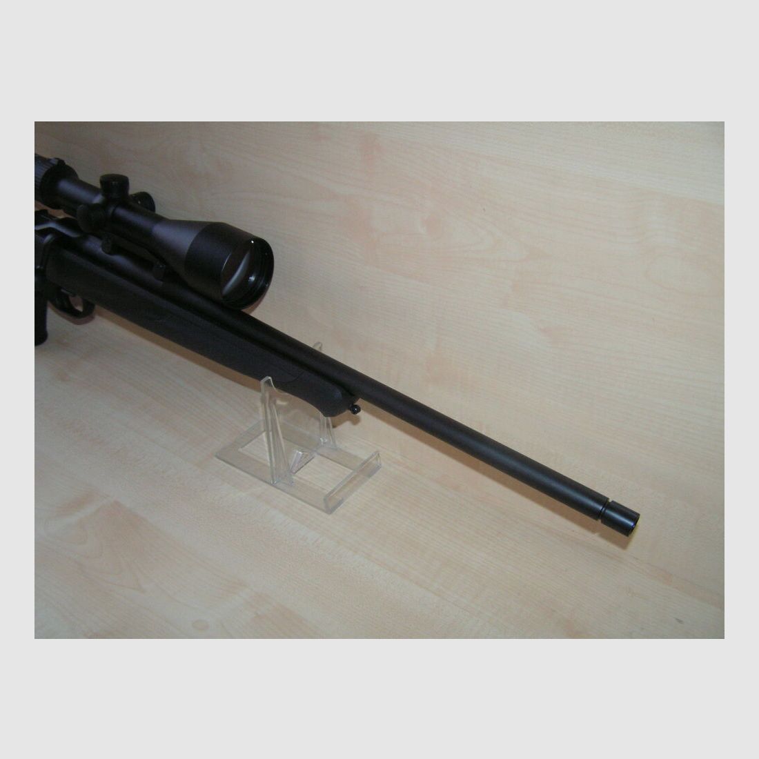 Blaser Professional Success