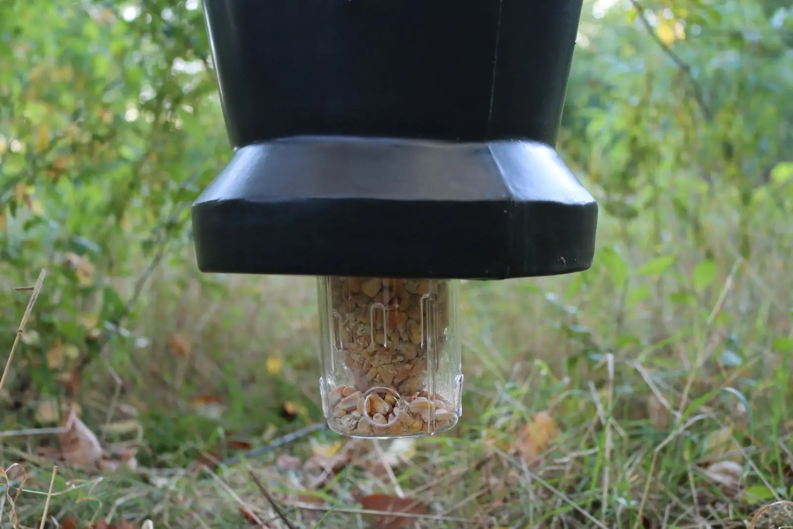 Dispensador de alimento universal Eurohunt, imagen 3 de 3