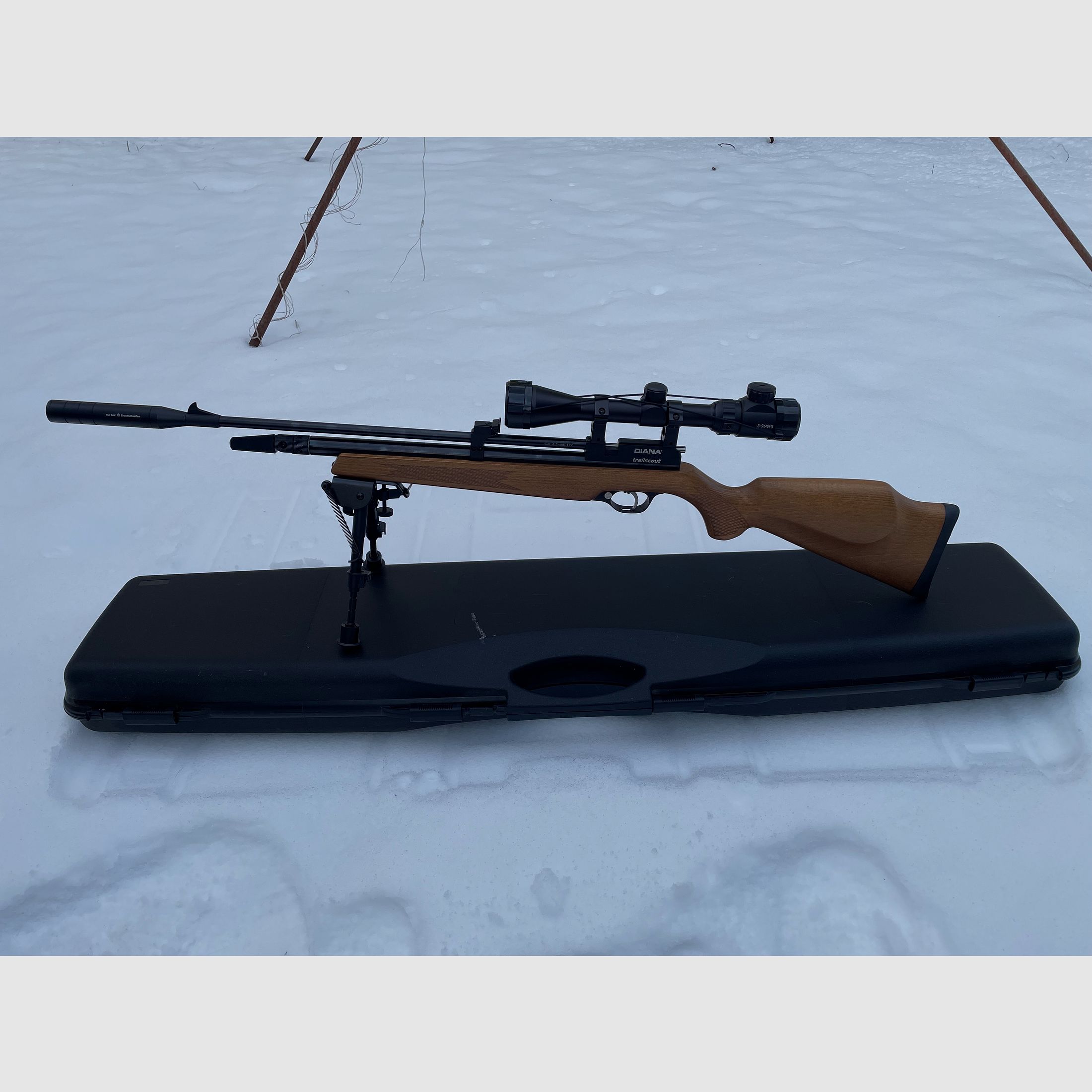 Diana Trailscout Wood Co2 4.5 diabolo p18