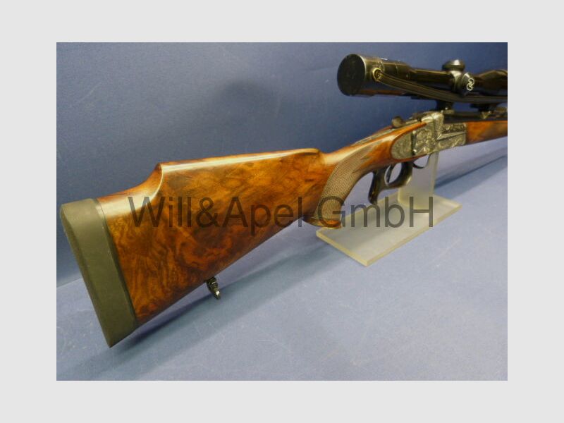 Kuchenreuther /Cham Seitenschloss