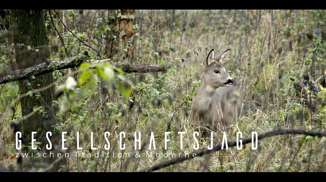 Neuzeitliche Betrachtungen zur Jagd - Die Gesellschaftsjagd - Zwischen Tradition und Moderne