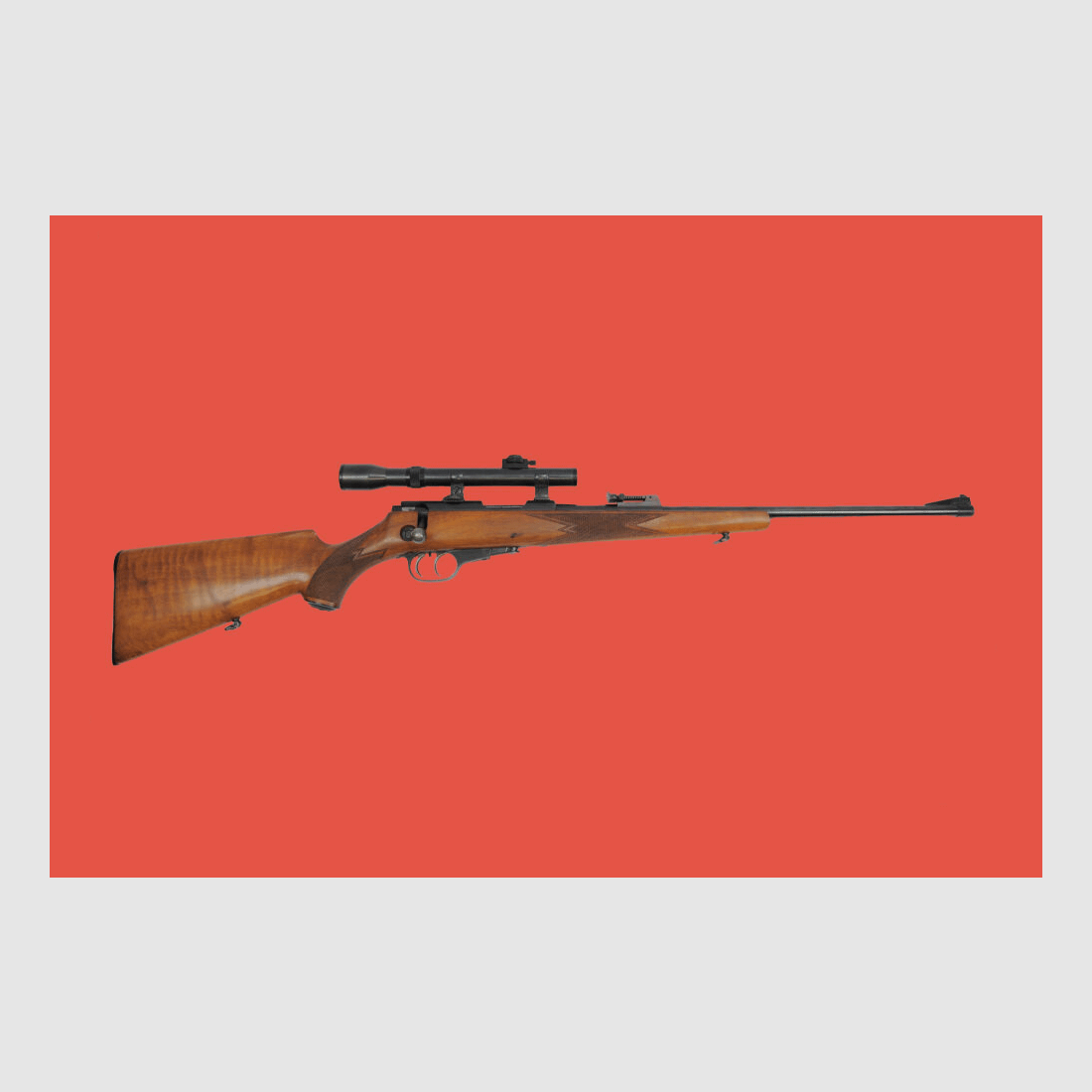 Walther with scope