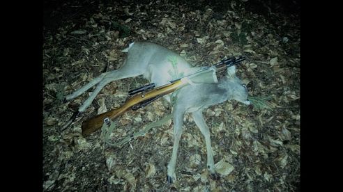 Mosin Nagant Sniperrifle im Jagdeinsatz 18er #MosinNagant #jagenextrem