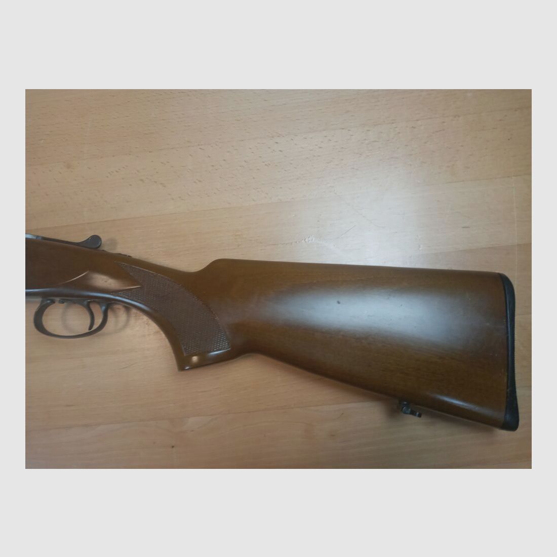 Rottweil Model 500