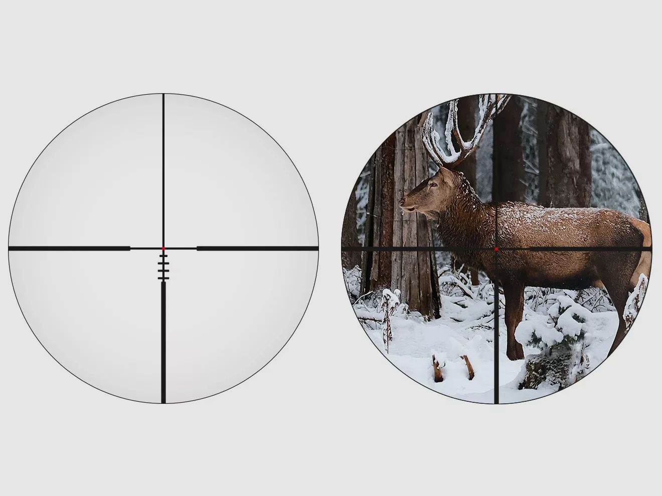 Jagdrepetierbüchse | Revo Arms Hunter .308 Win. mit Alpen Optics Apex XP 2,5–15x50 BDC