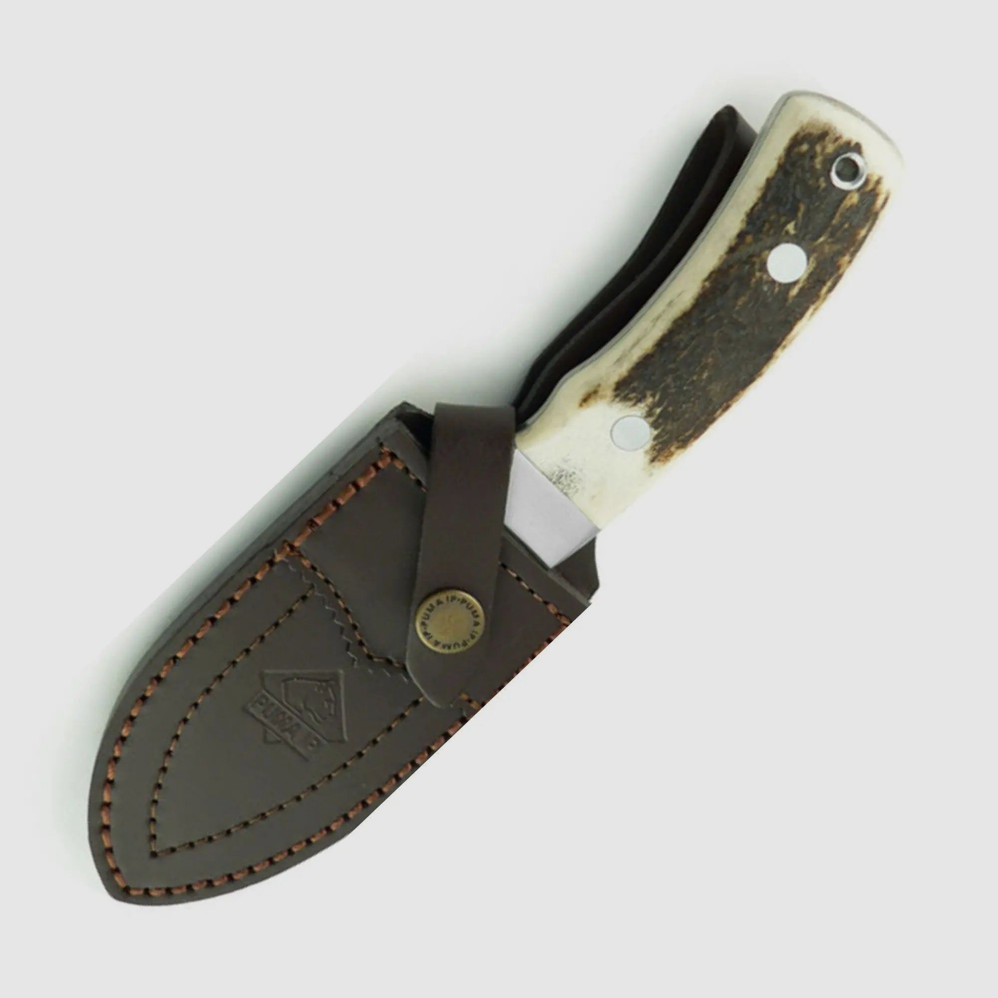 PUMA IP schwarzwild, stag (Verleihung Goldener Keiler 2012)