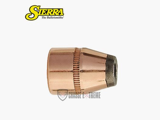 100 Ogives SIERRA Cal 44 Mag 180gr JHC