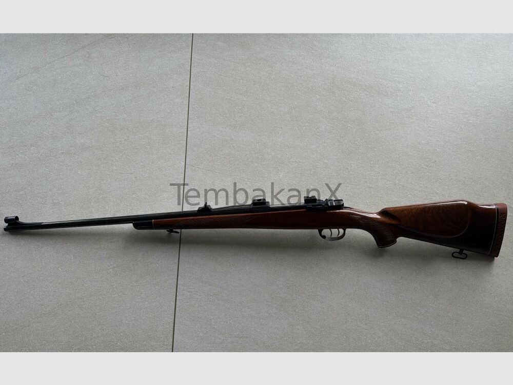 Interarms Marx X .30-06Spring