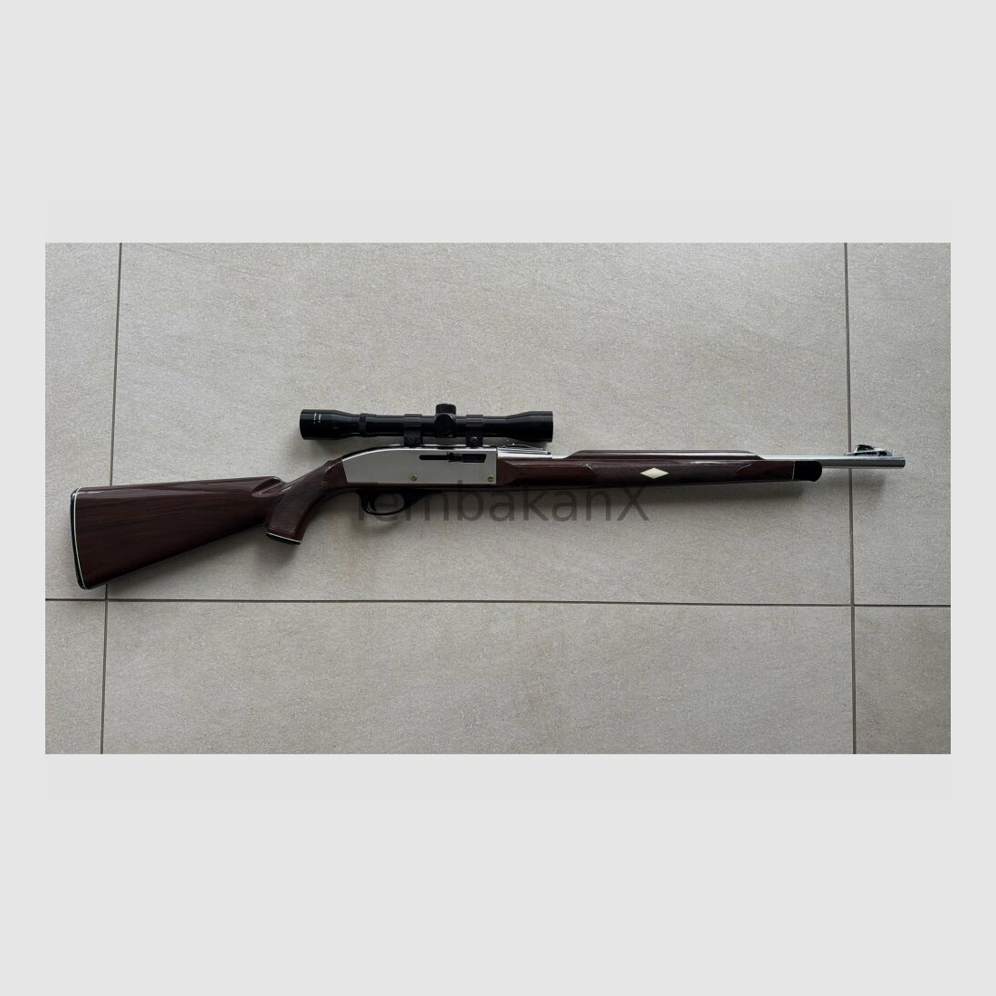 Remington Nylon 66 .22lr