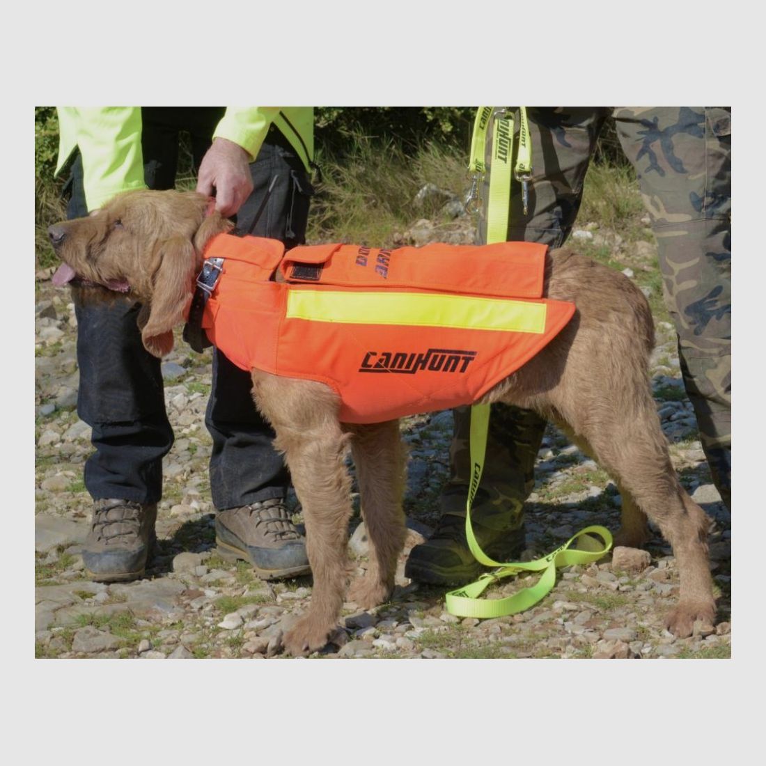 HUNDESCHUTZWESTE CANIHUNT DOG ARMOR V2 NEU, Bild 3 von 11