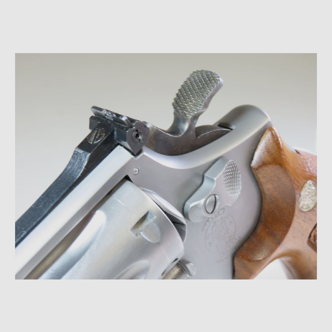 Bellissimo Smith & Wesson 617 - 6 pollici Target Champion!
