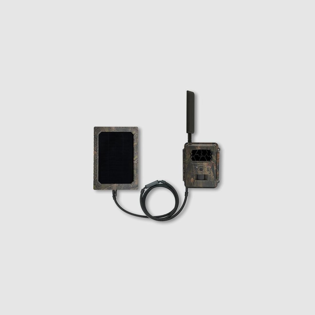 Sixty solar panel for wildlife cameras