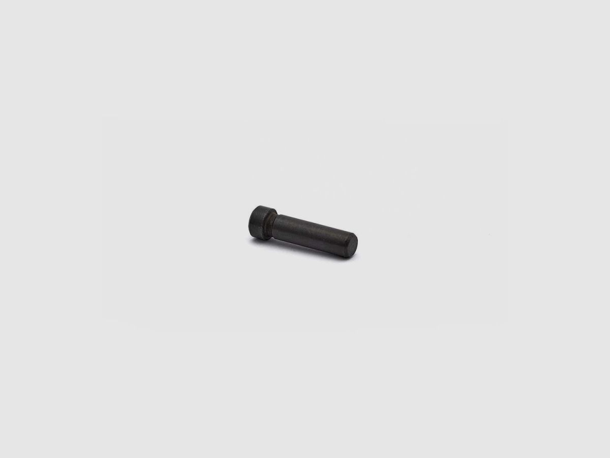 CZ 75 SP-01 - Shadow2 - TS Hammer Pin, image 1 of 3